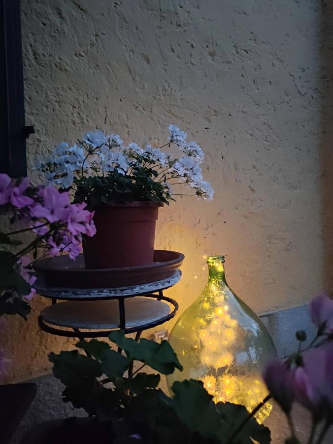 Bed&Breakfast Villa Camilla 伊夫雷亚 外观 照片
